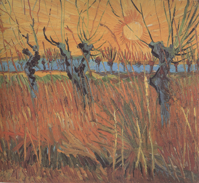 Willows at Sunset (nn04)